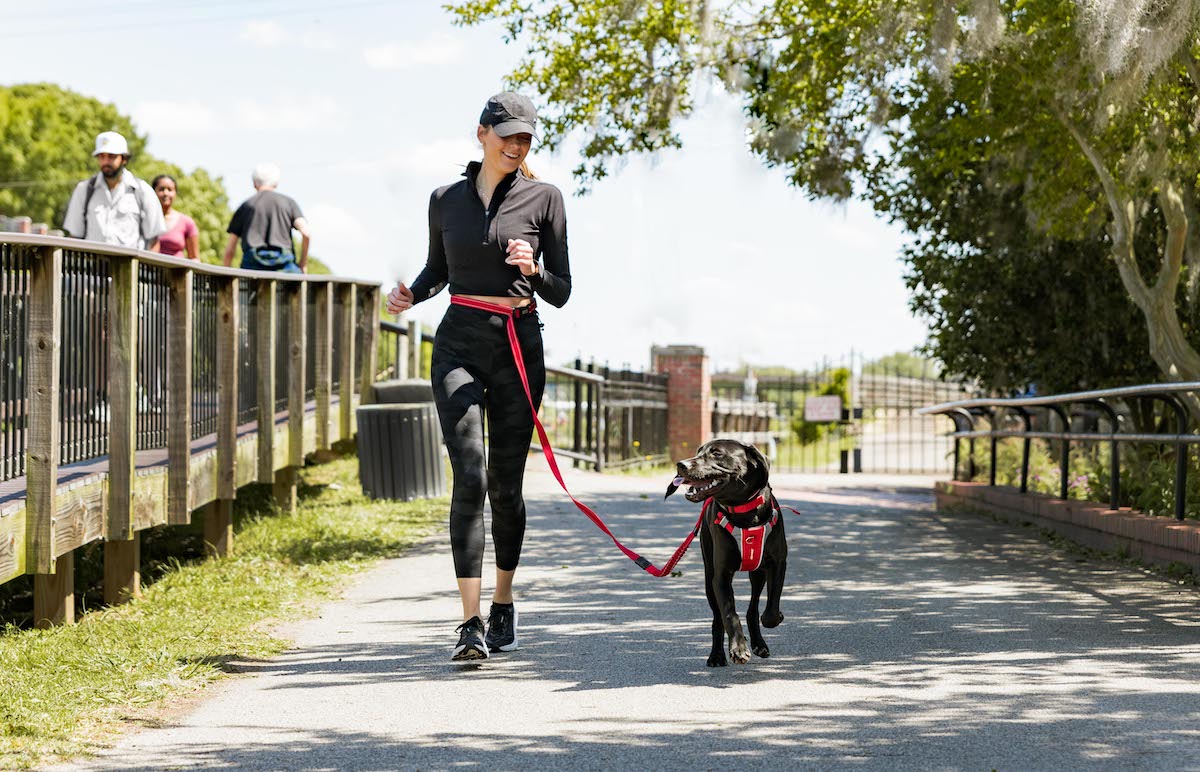 How to Run With Your Dog