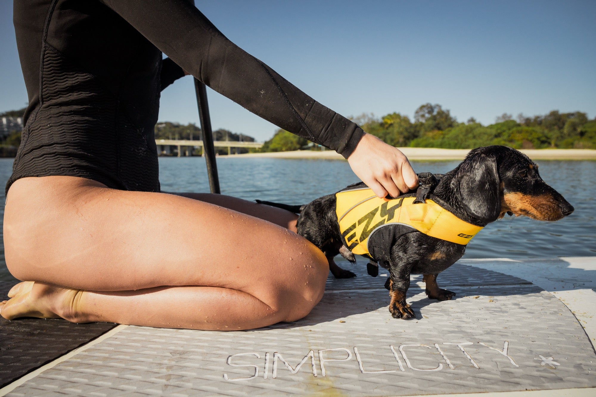 Person kneeling on a dock with a small dog wearing a yellow life jacket.