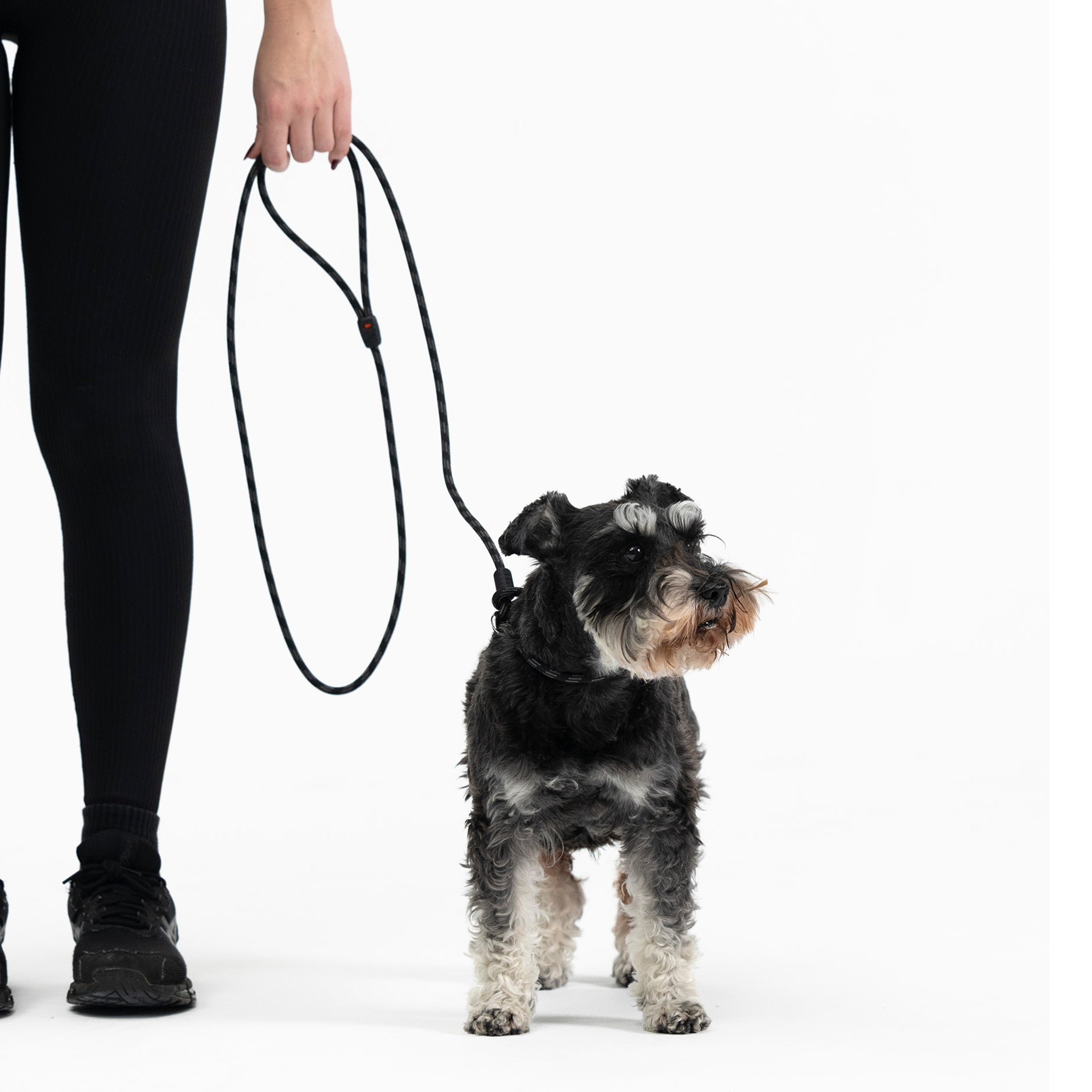 Luca™ Leash