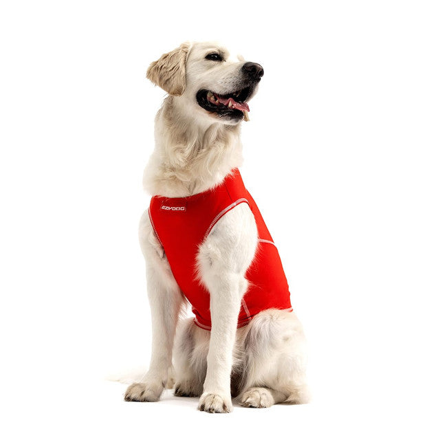 Dog Rashie Shirt