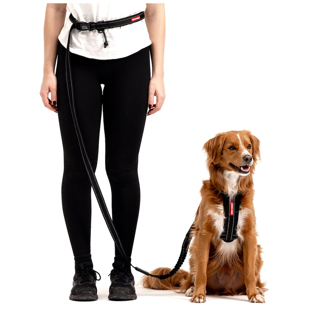 Road Runner™ Leash