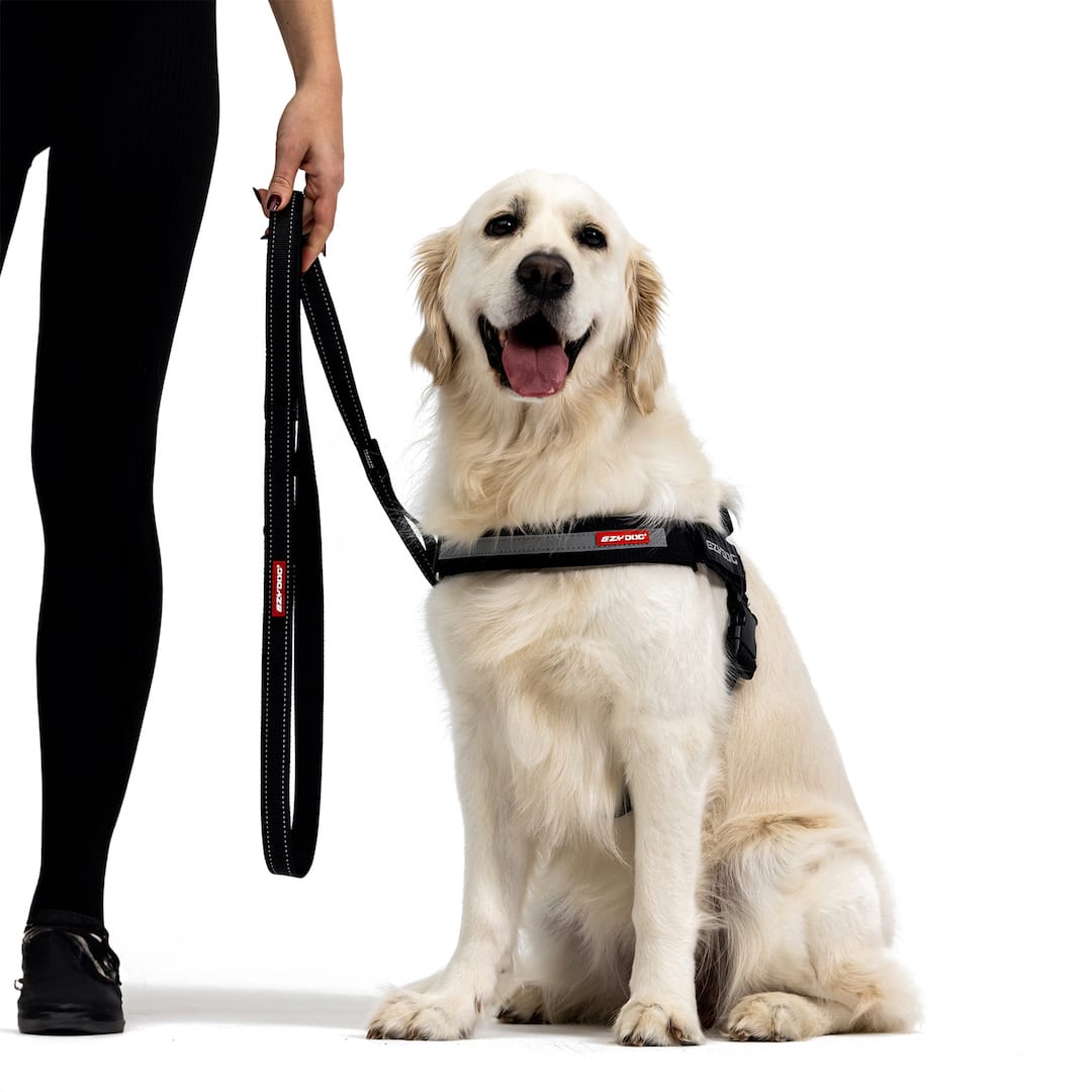 Soft Trainer™ Leash