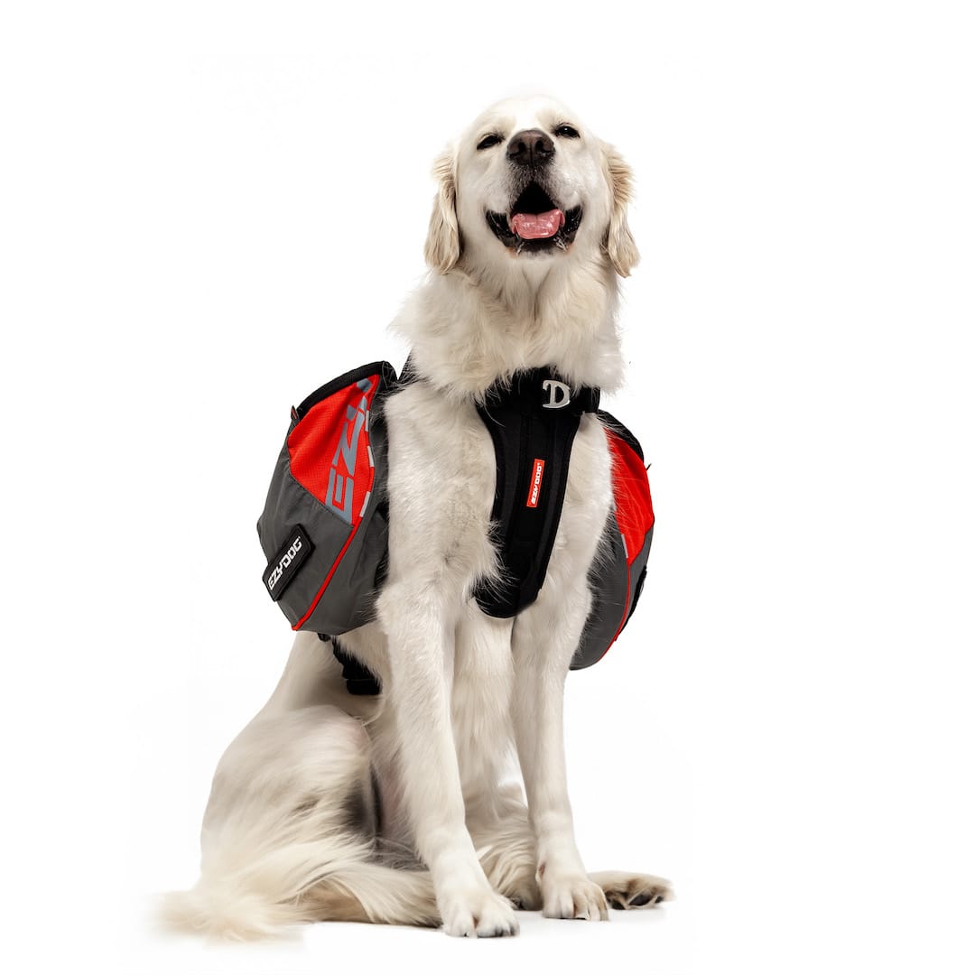 Summit Dog™ Backpack