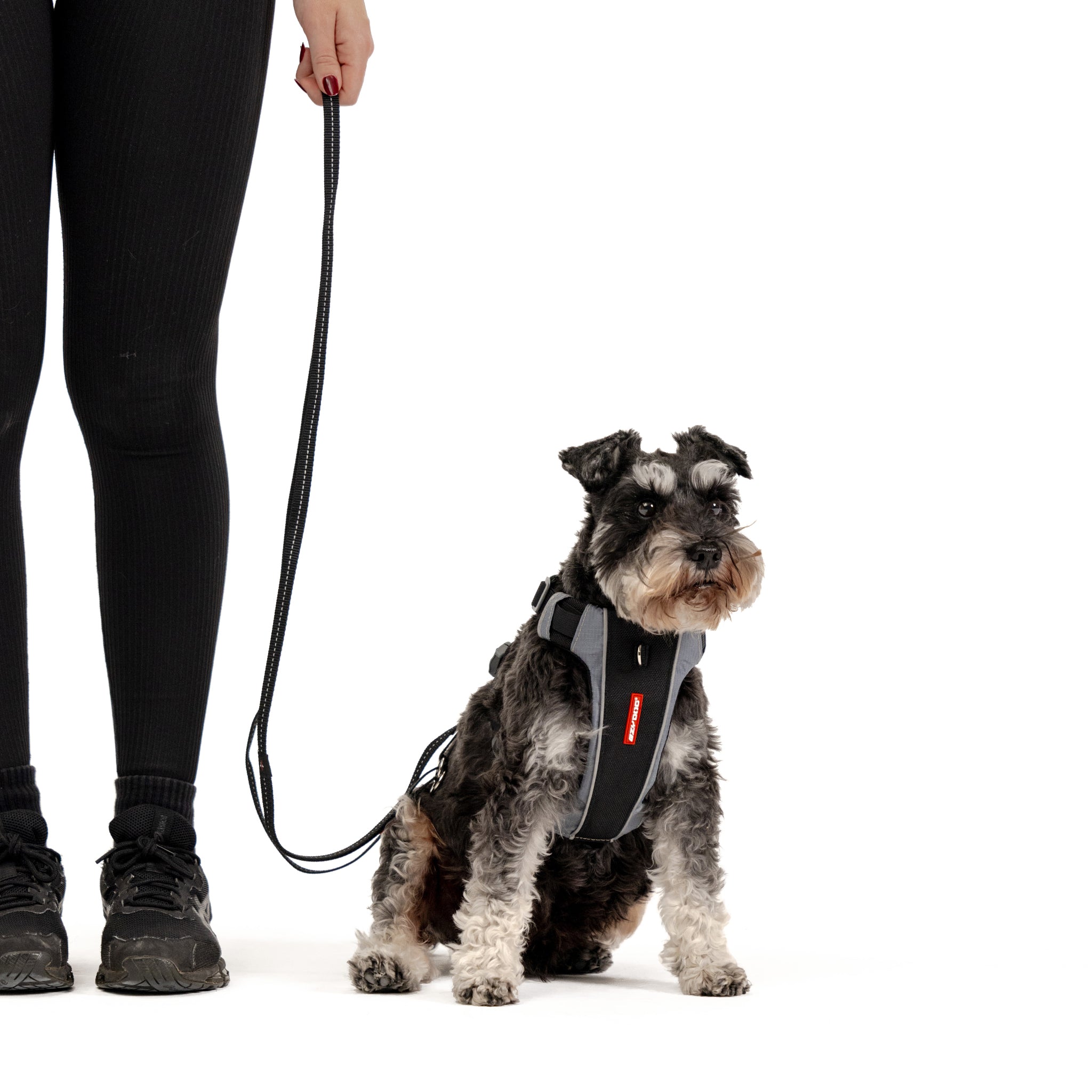 VARIO 6™ Multi-Function Leash