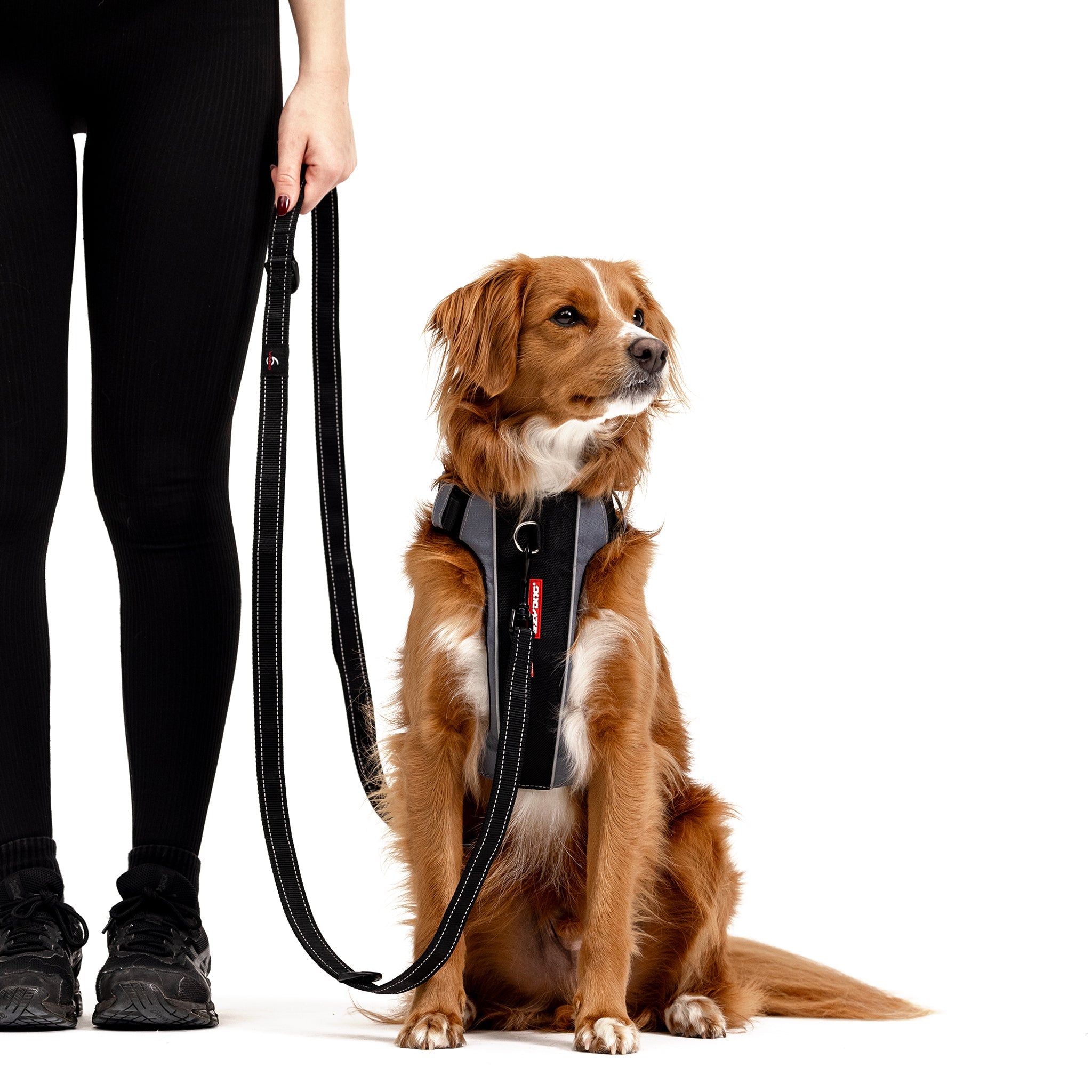 VARIO 6™ Multi-Function Leash