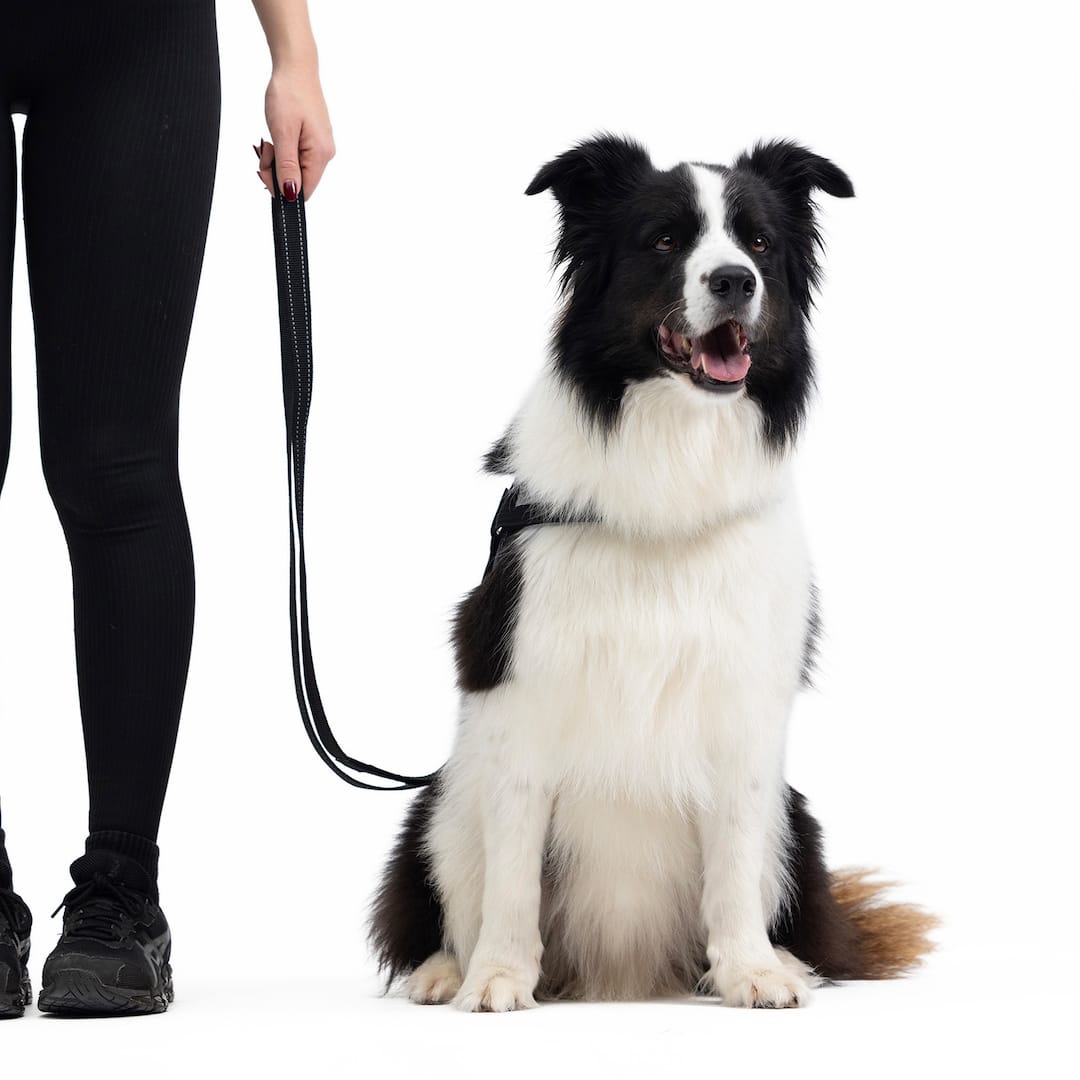 Vario 4™ Multi-Function Leash