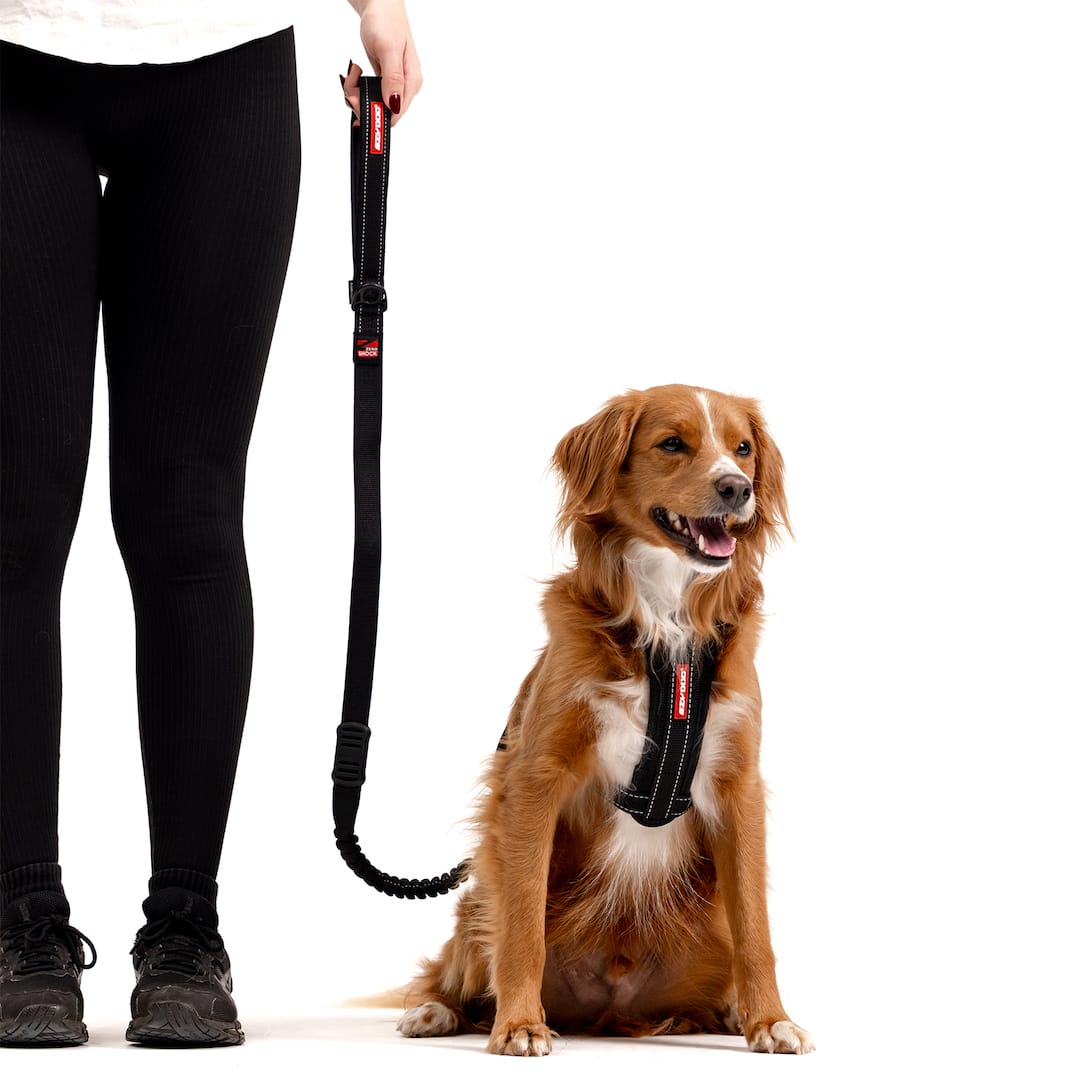 Zero Shock™ Leash
