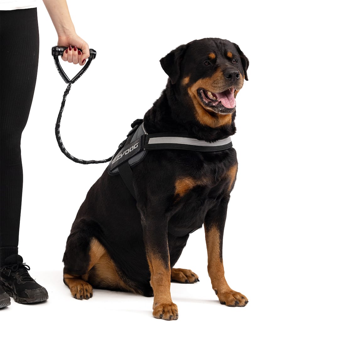 Cujo™ Leash