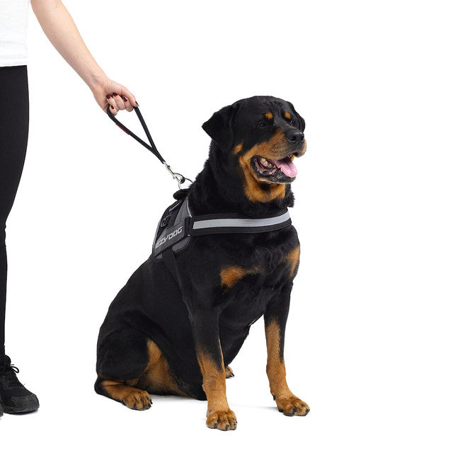 Neo Mongrel™ Web