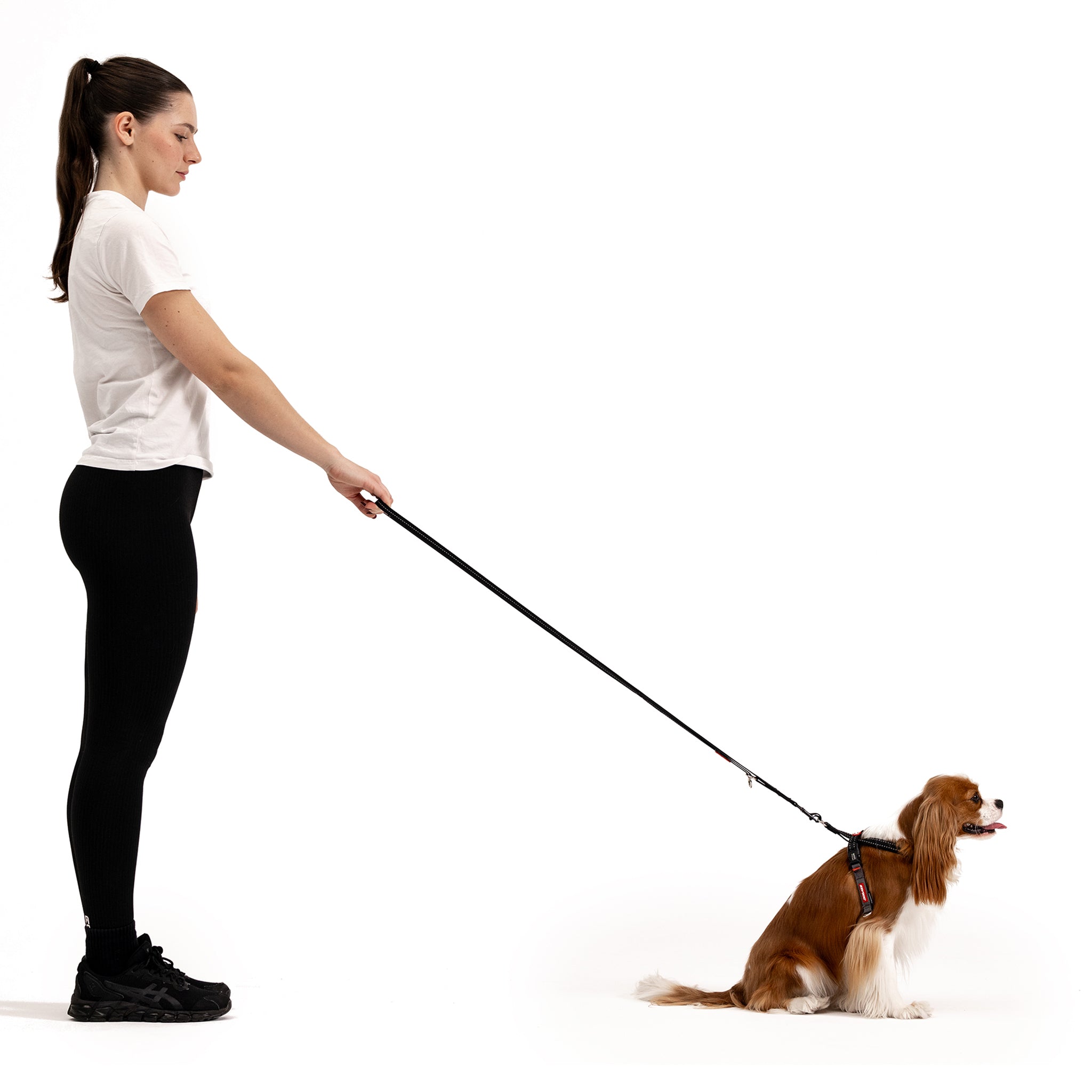 Vario 4™ Multi-Function Leash