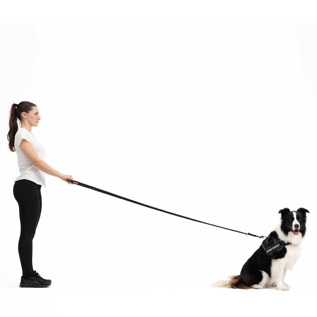 Vario 4™ Multi-Function Leash