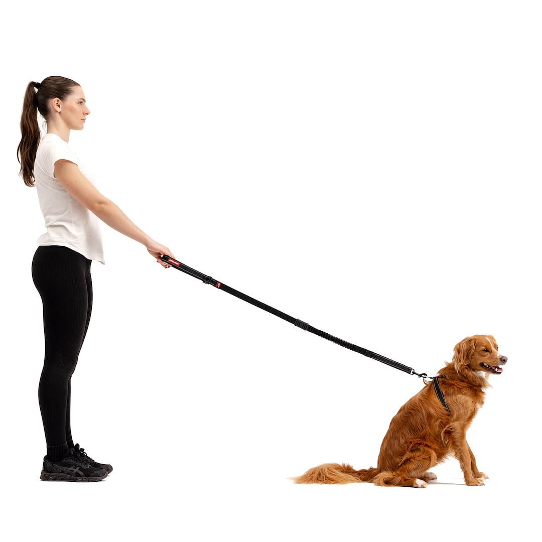 Zero Shock™ Leash