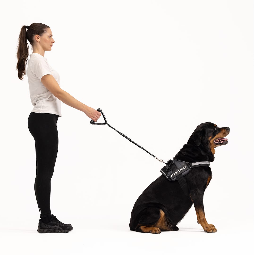 Cujo™ Leash