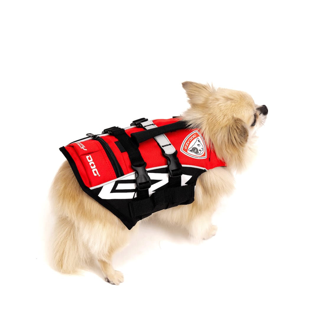 dog wearing red Micro DFD life jacket back view