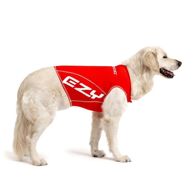 Dog Rashies