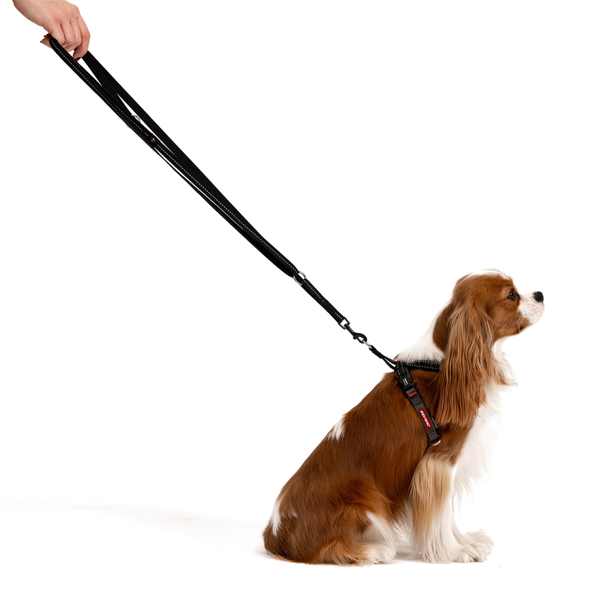 Vario 4™ Multi-Function Leash