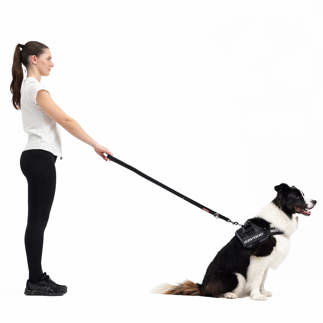 Vario 4™ Multi-Function Leash