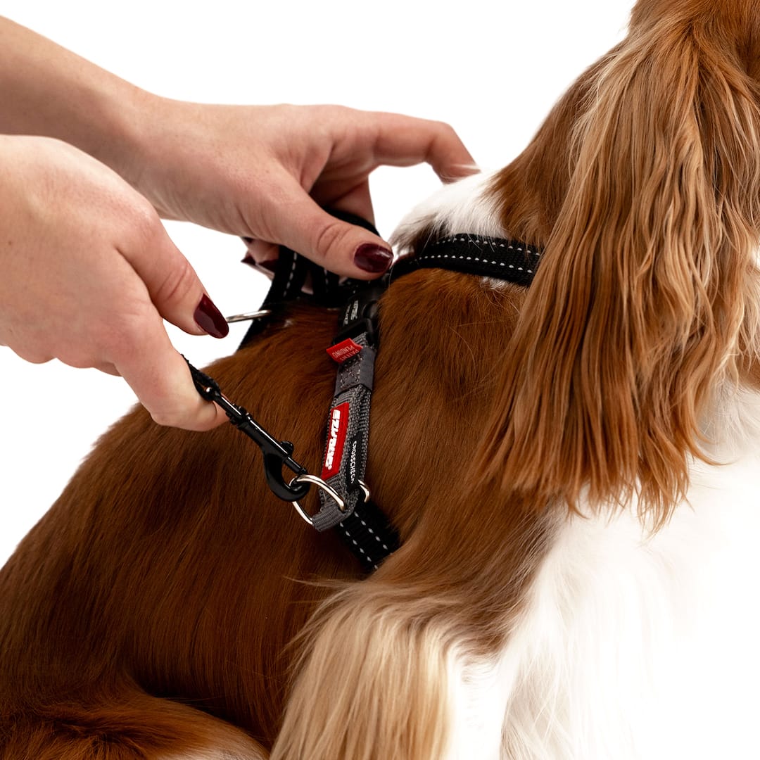 Crosscheck™ Dog Harness