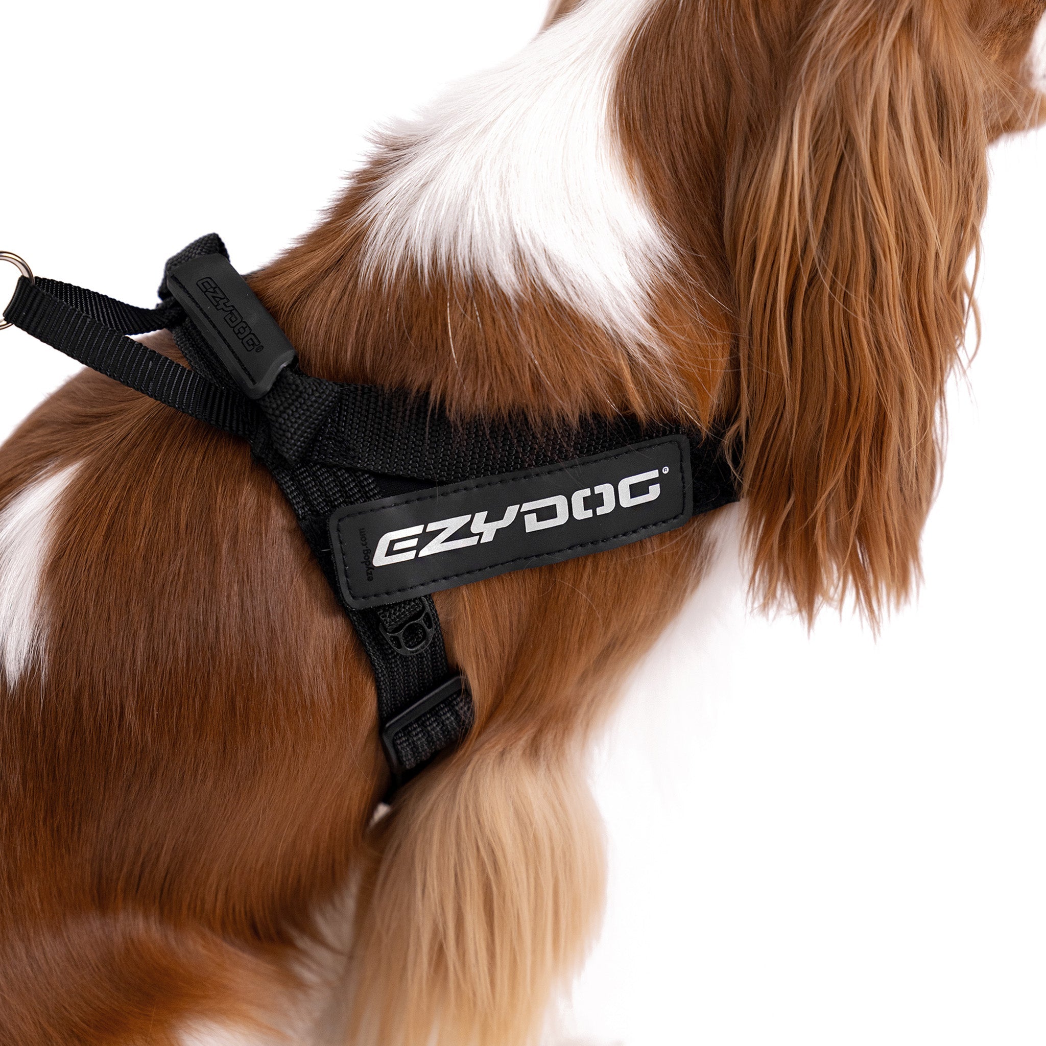 Express™ Dog Harness