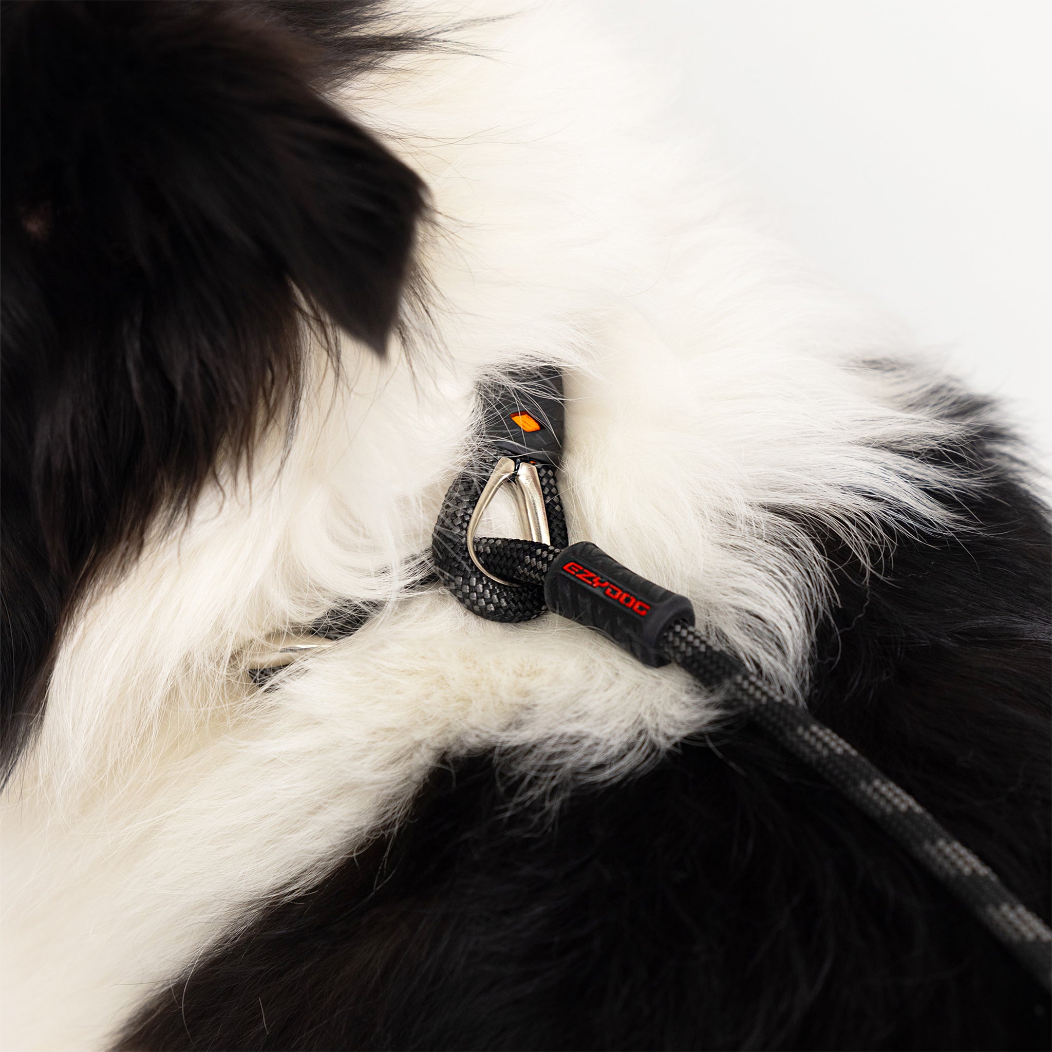 Luca™ Leash