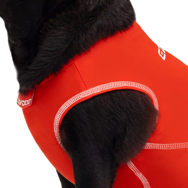 Dog Rashies