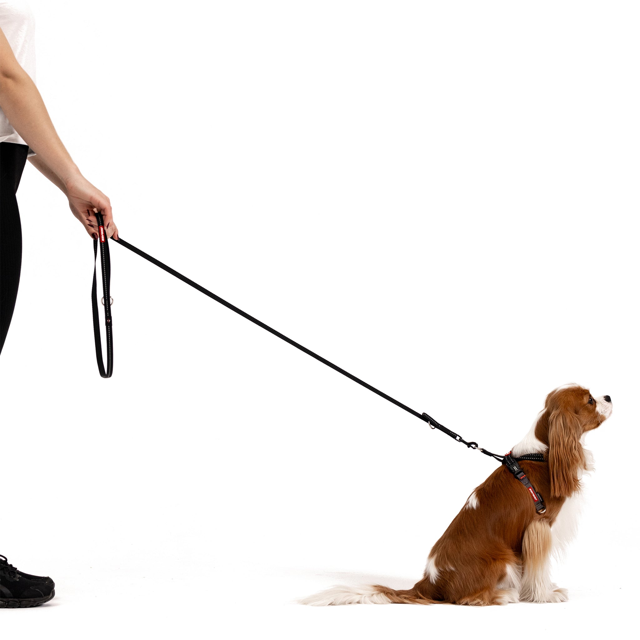 Vario 4™ Multi-Function Leash