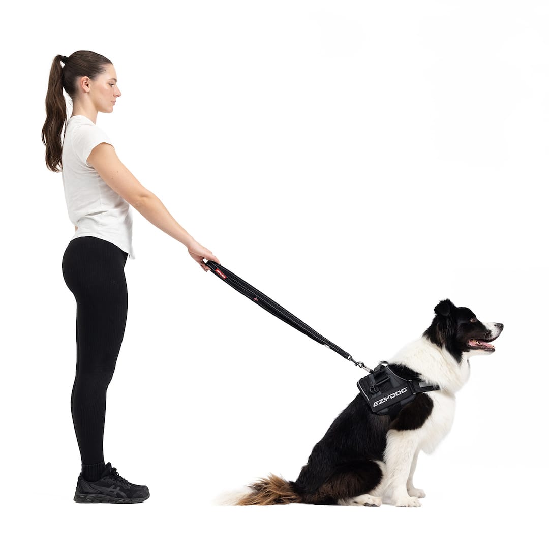 Vario 4™ Multi-Function Leash