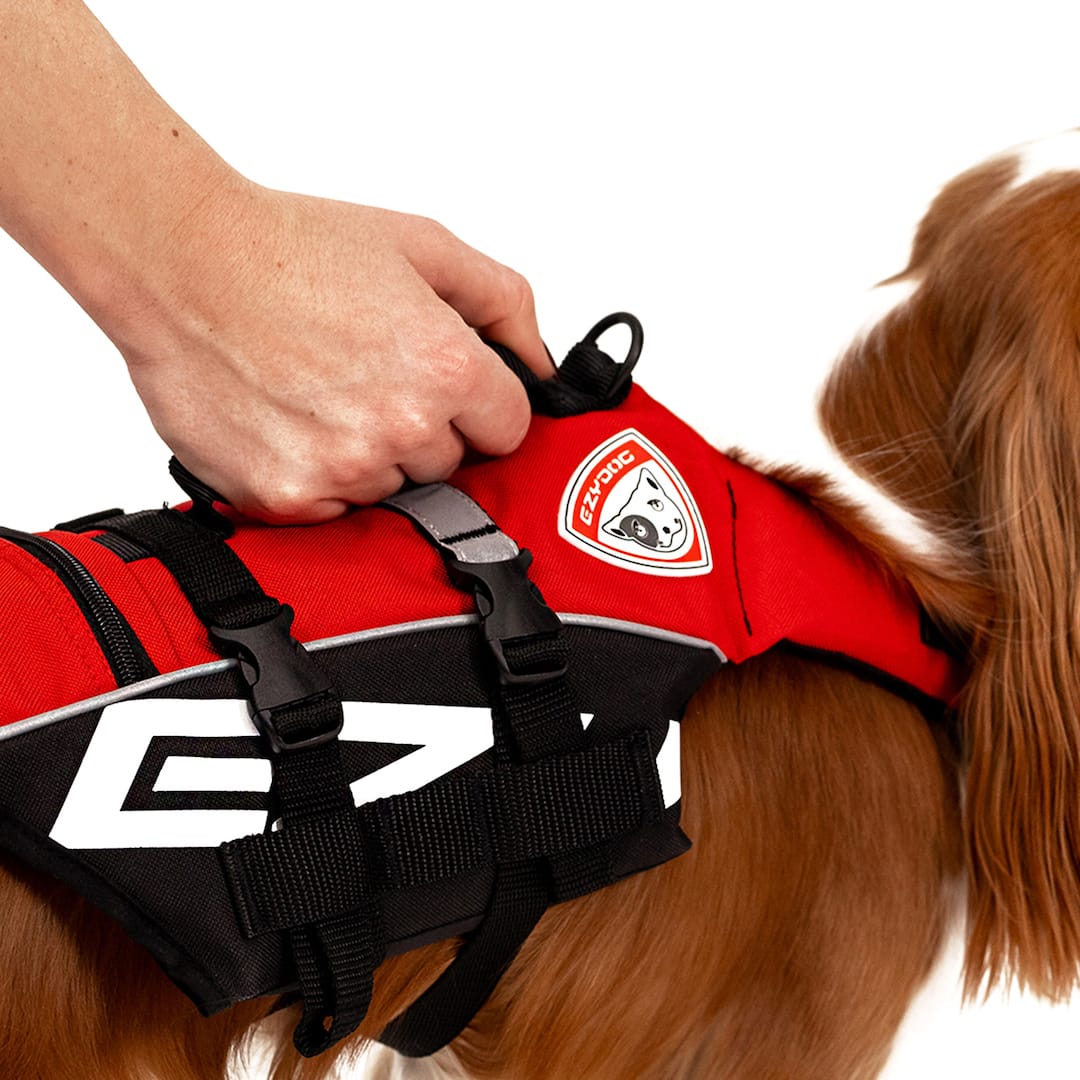 Red Micro DFD life jacket closeup and handle showcase
