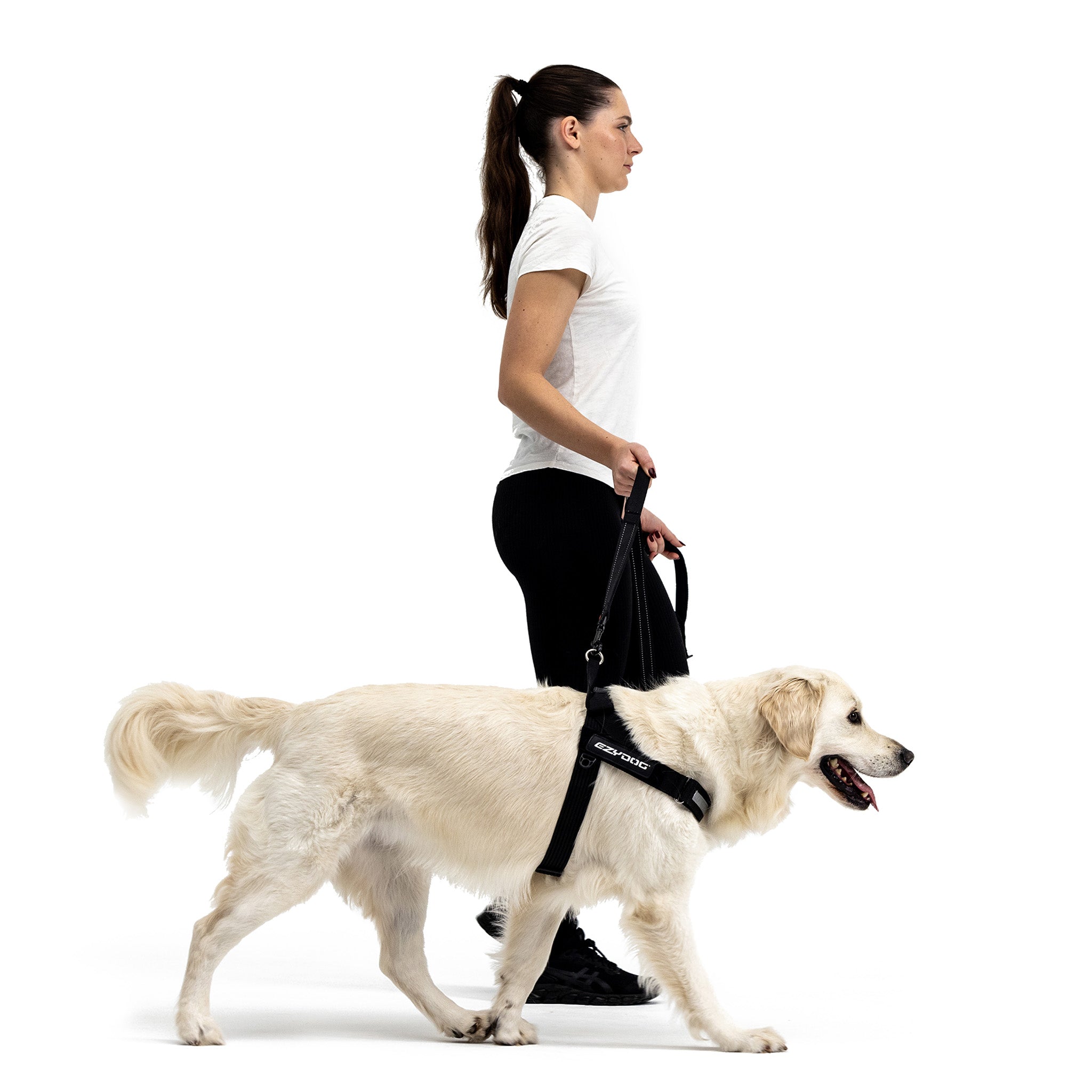Express™ Dog Harness