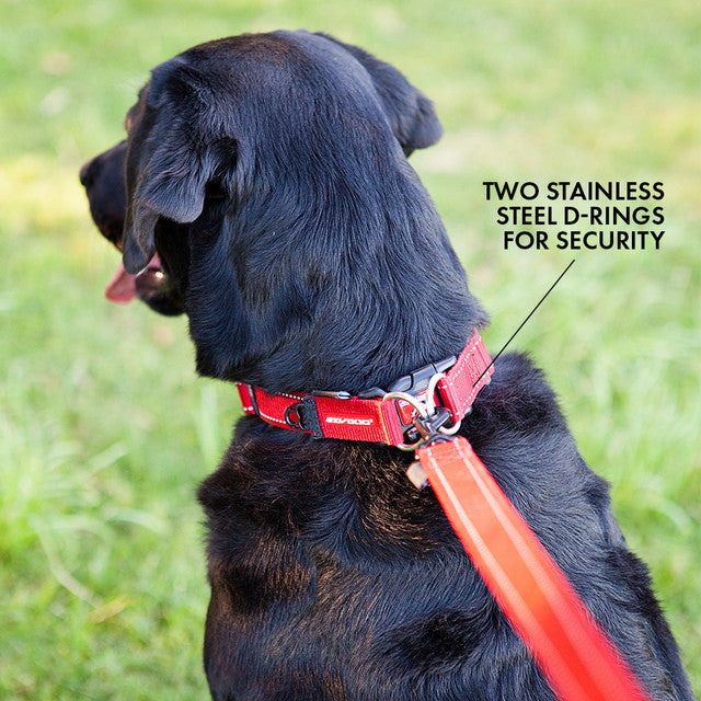 Double Up™ Collar