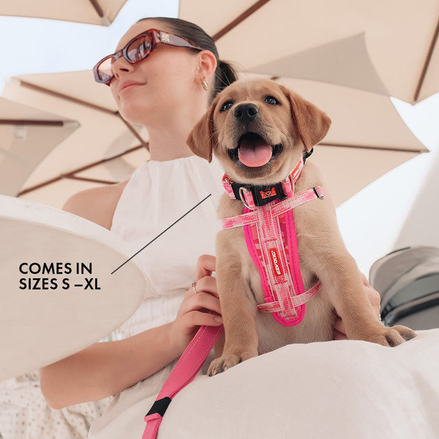 Double Up™ Collar