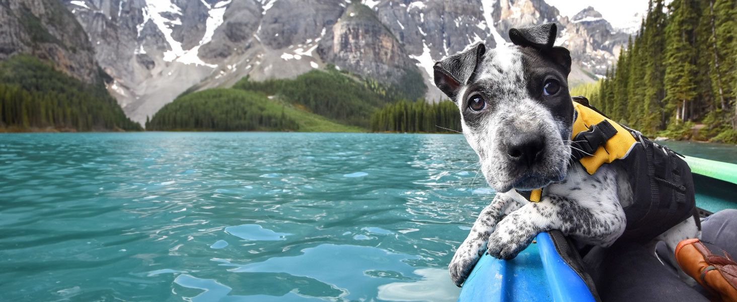 Dog in a kayak on a lake with mountains and trees in the background