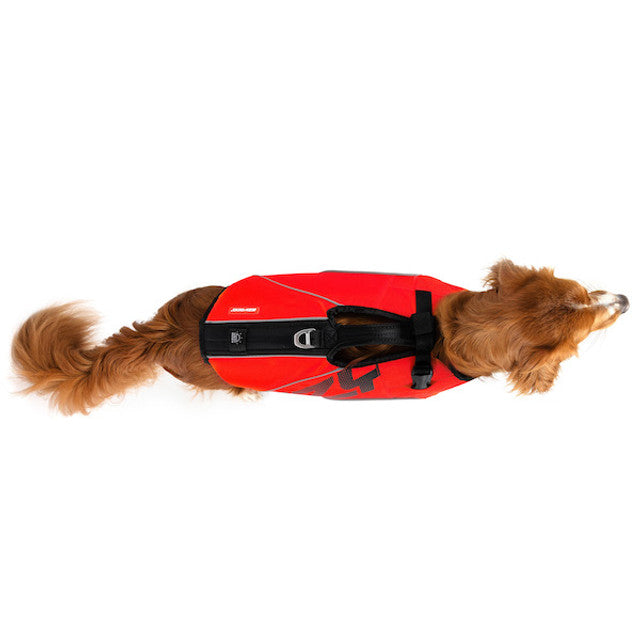 Dog wearing Red DFD X2 Boost Life Jacket top view