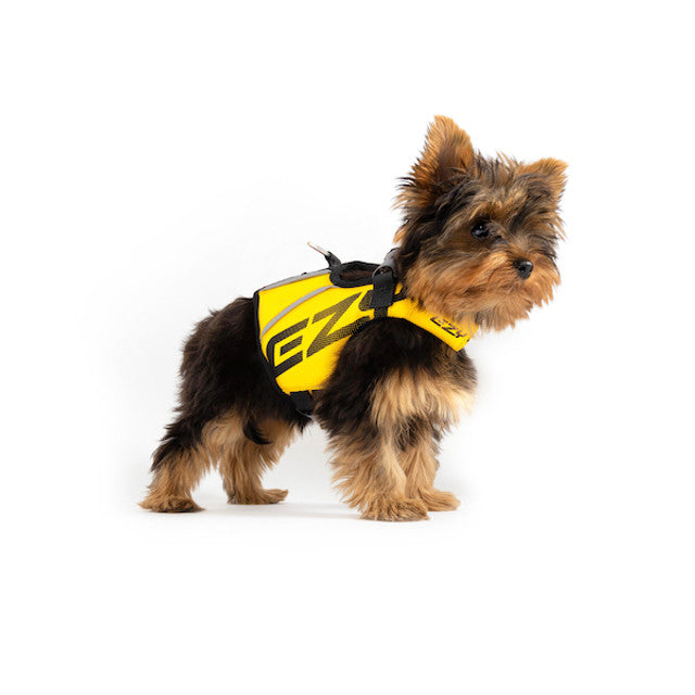 Small Dog wearing Yellow DFD X2 Boost Life Jacket
