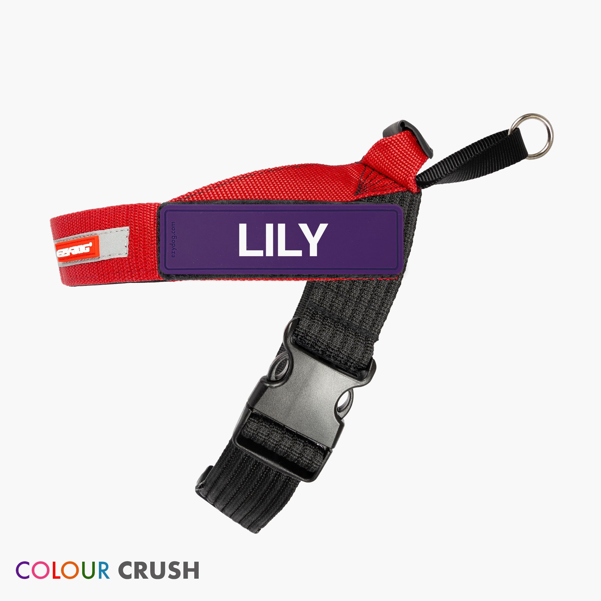 Express™ Dog Harness