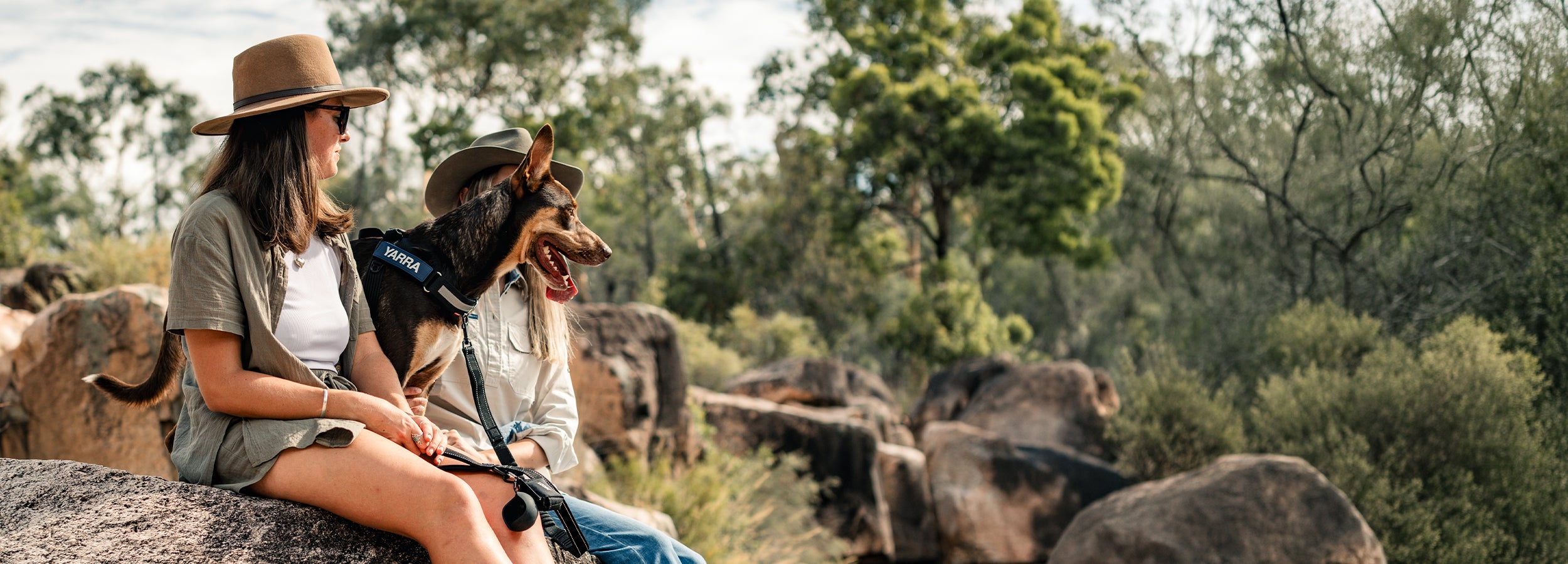 A woman and her dog rest on a cliffside enjoying a panoramic view