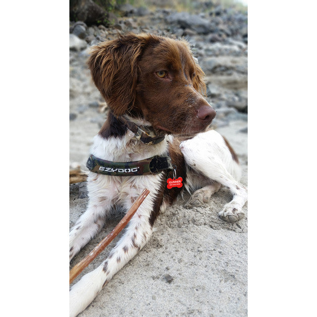 EzyDog ID Tag Gunner