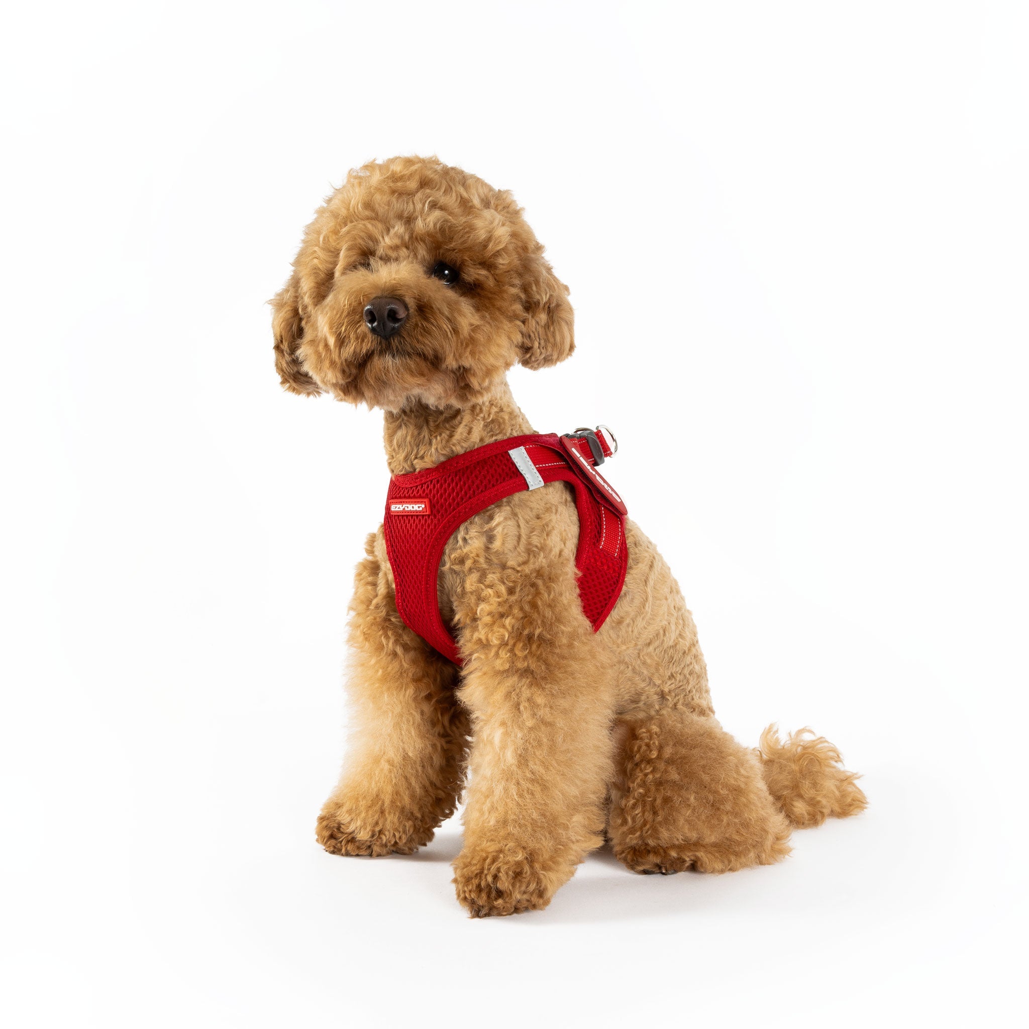 FORMFIT® Mesh Harness