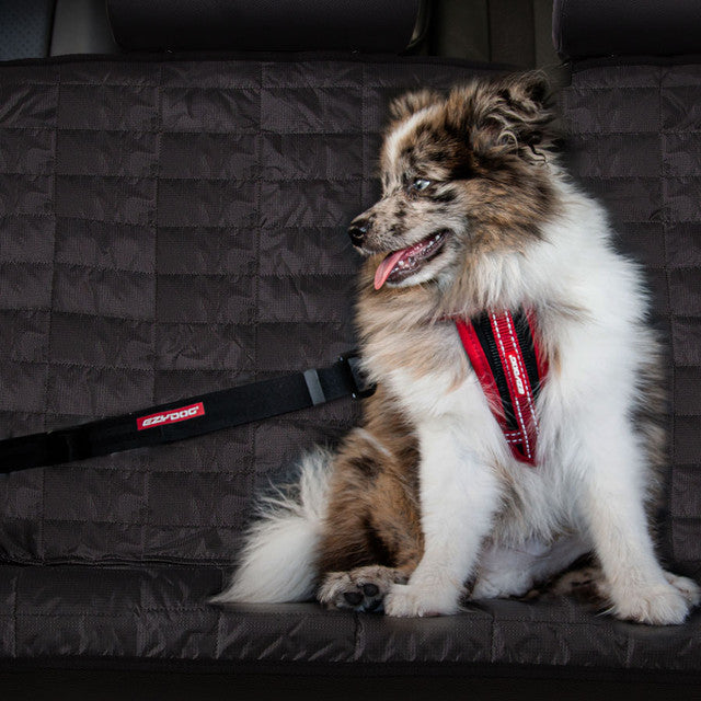Click™ Adjustable Car Restraint
