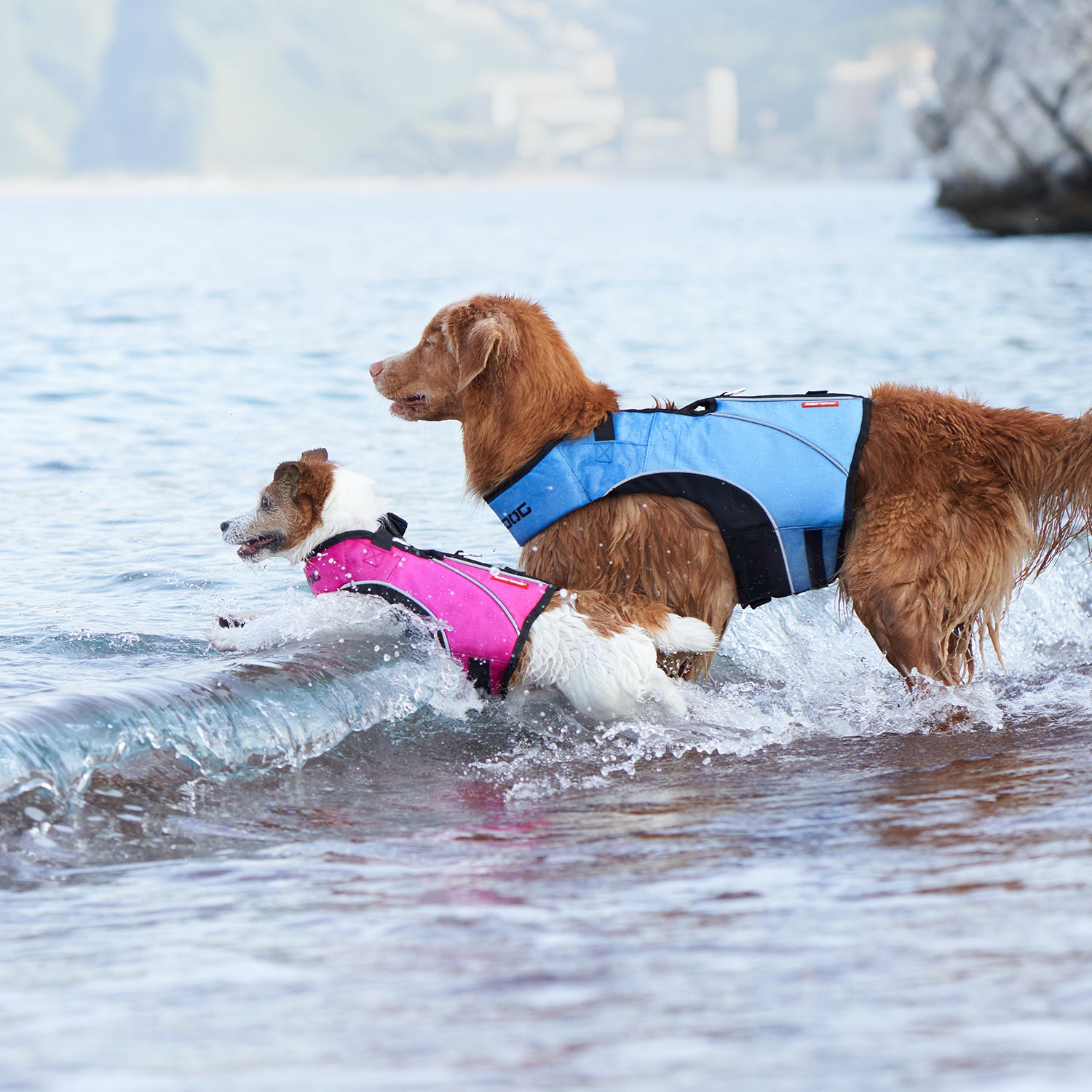 Small and large dogs on the water with our x2 boost life jackets