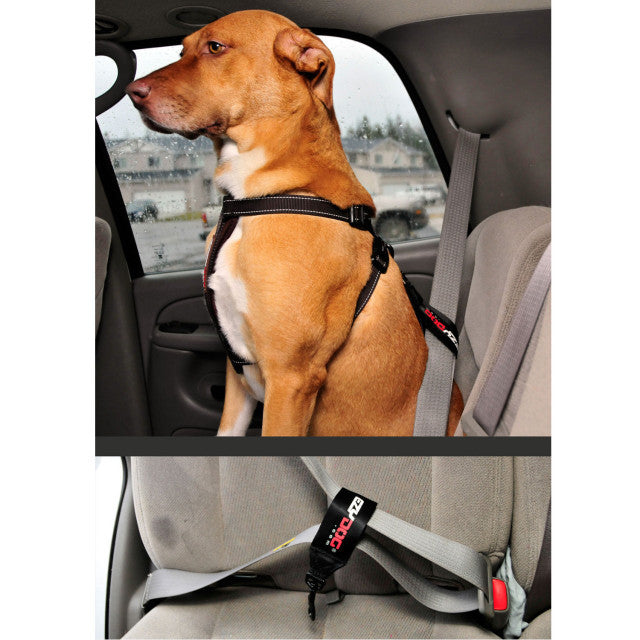 Seat Belt Restraint