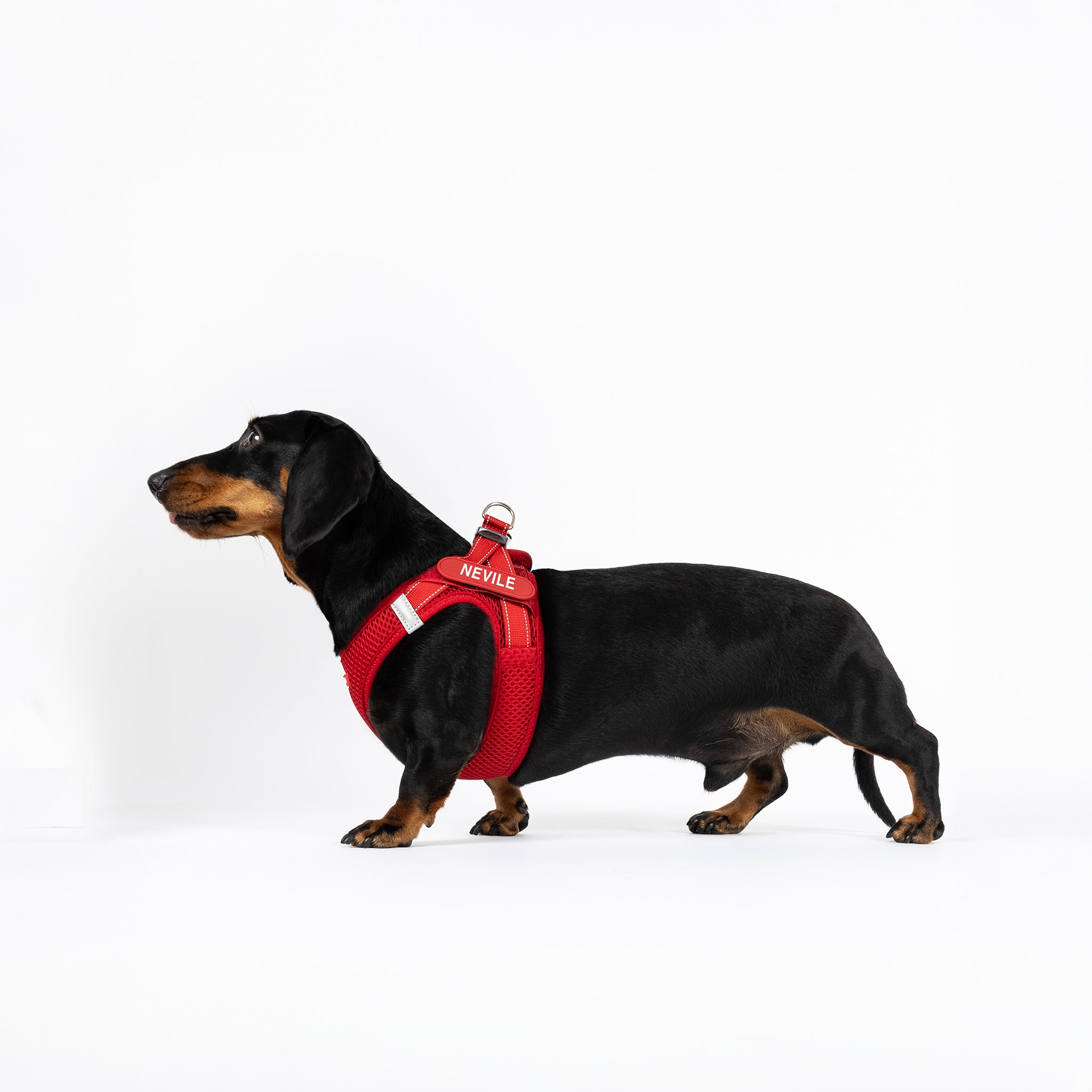 FORMFIT® Mesh Harness
