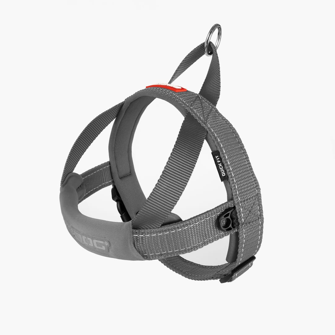 Quick Fit™ Dog Harness