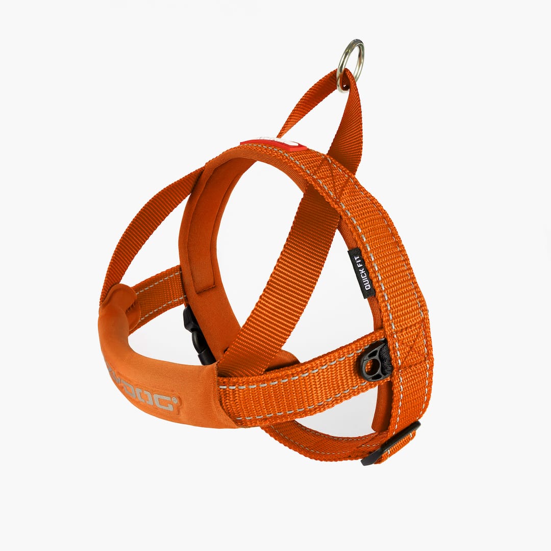 Quick Fit™ Dog Harness