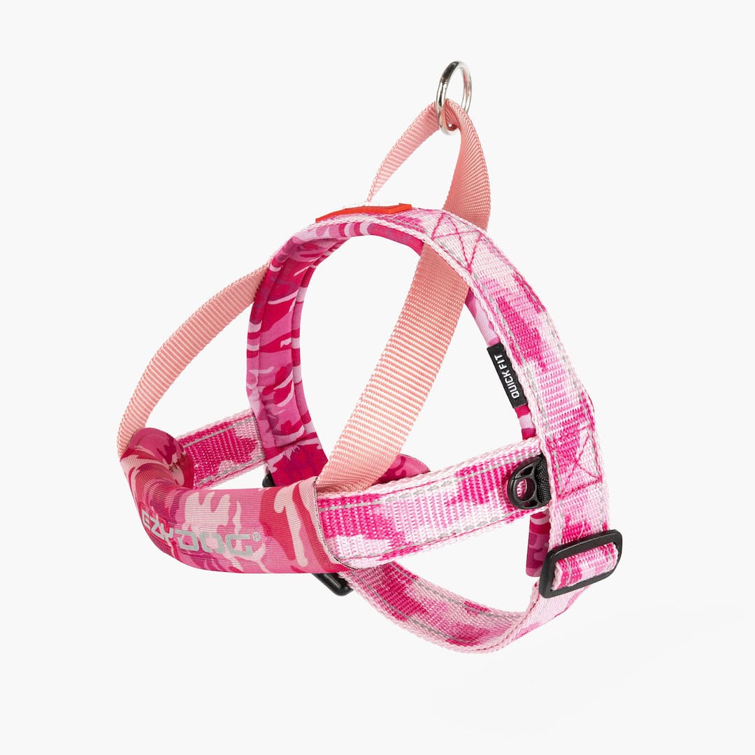 Quick Fit™ Dog Harness