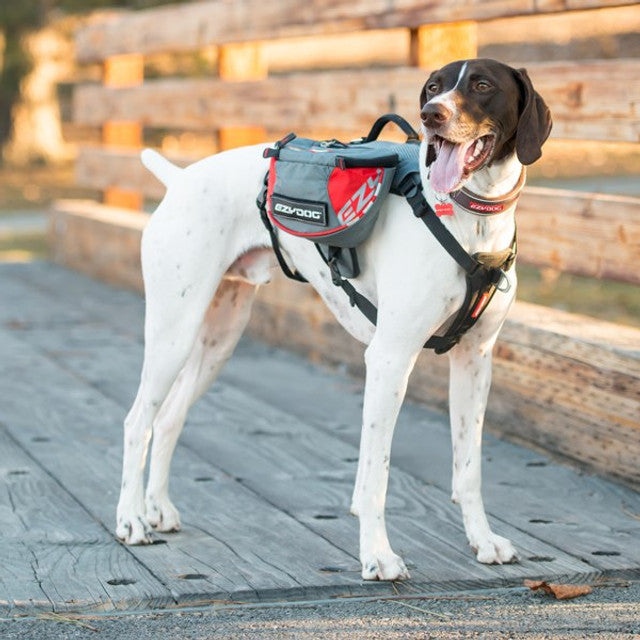 Summit Dog™ Backpack