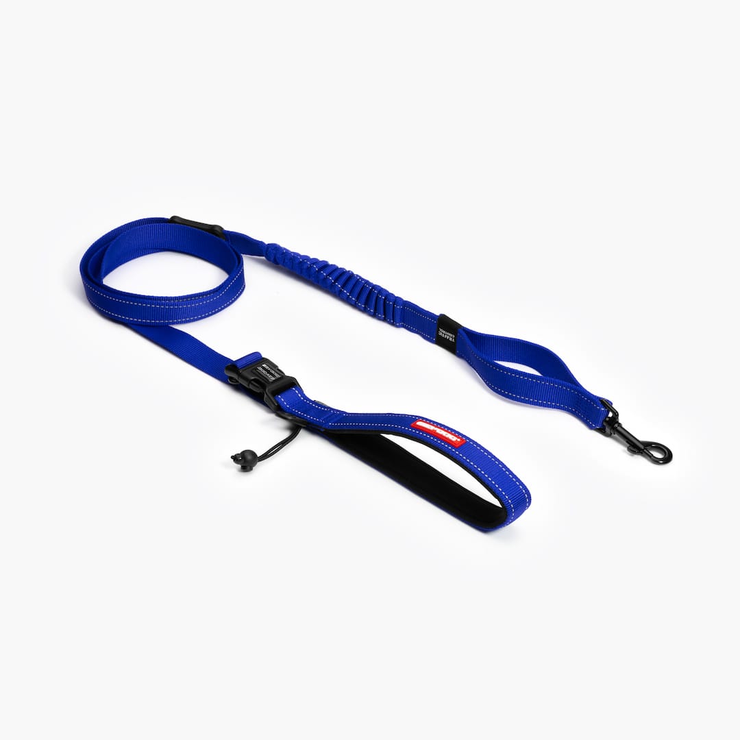 Road Runner™ Leash
