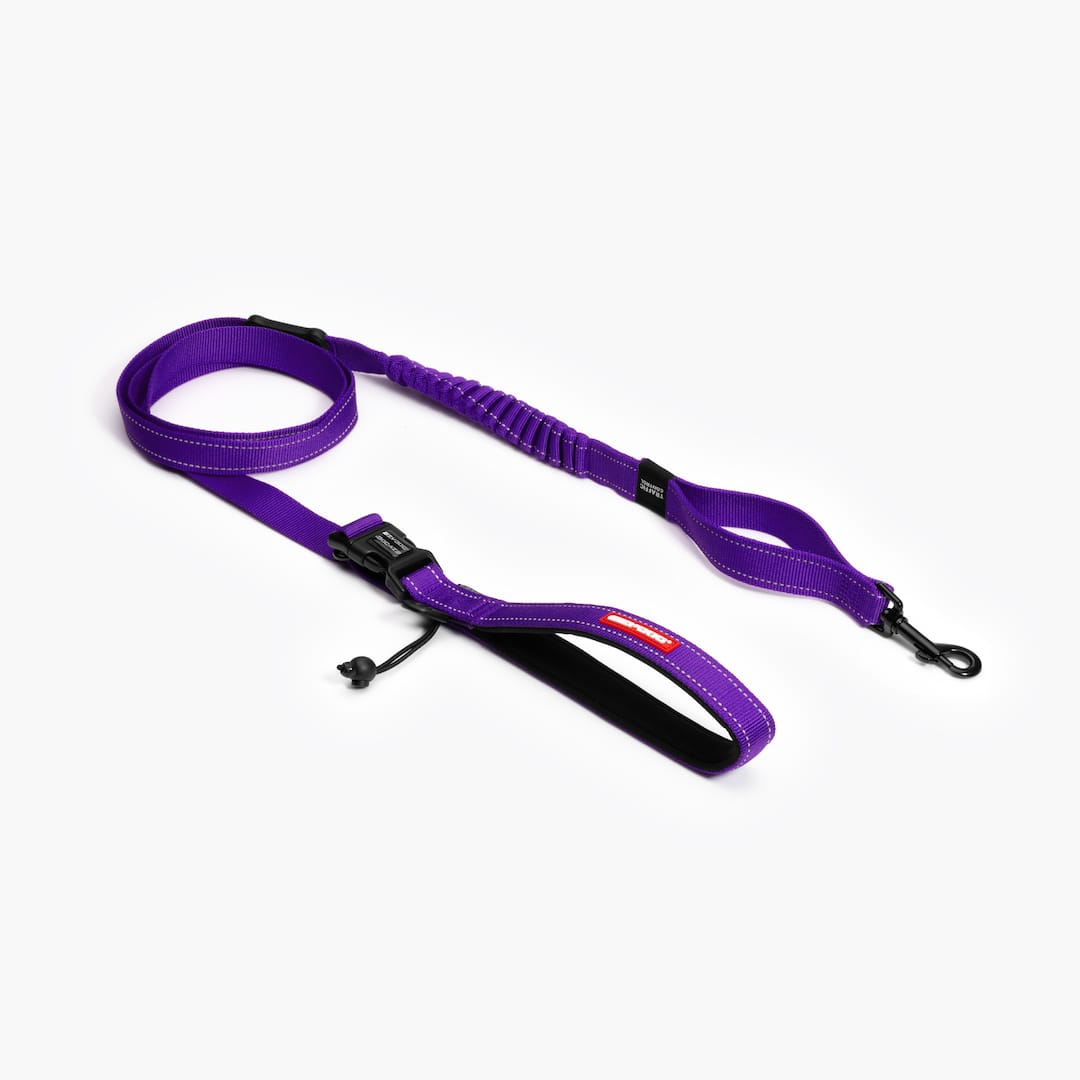 Road Runner™ Leash