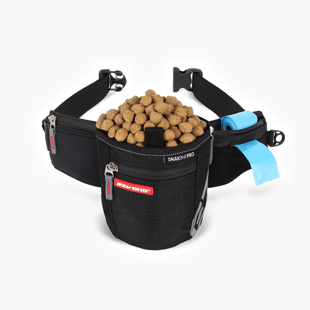 Dog Training Treat Belt Dog Treat Bag