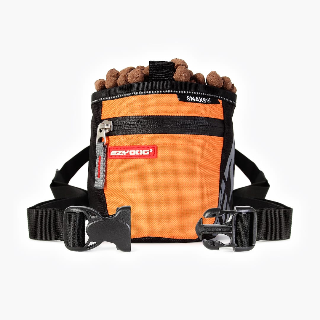 SnakPak™ Treat Bag